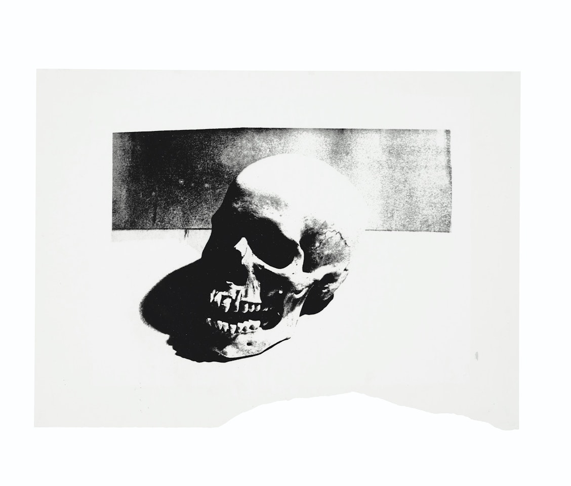 Skull by Andy Warhol