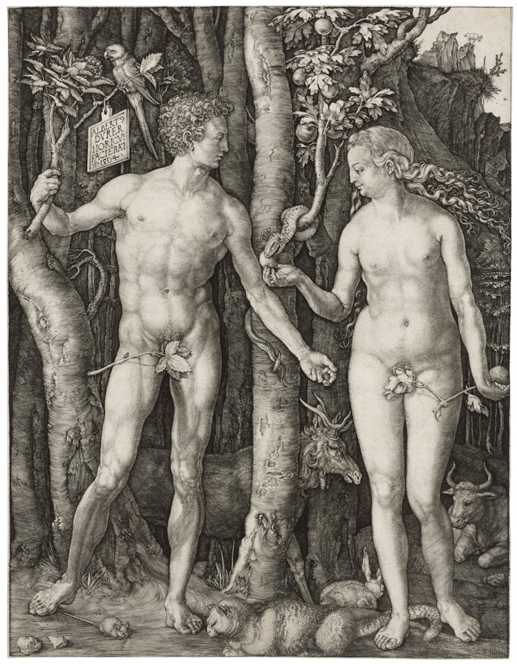 Adam and Eve by Albrecht Dürer