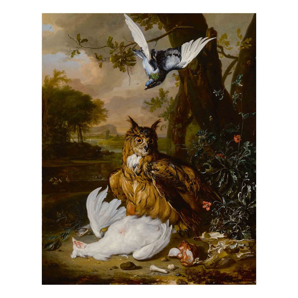 A Eurasian eagle-owl with with other birds in a landscape by Dirk Valkenburg