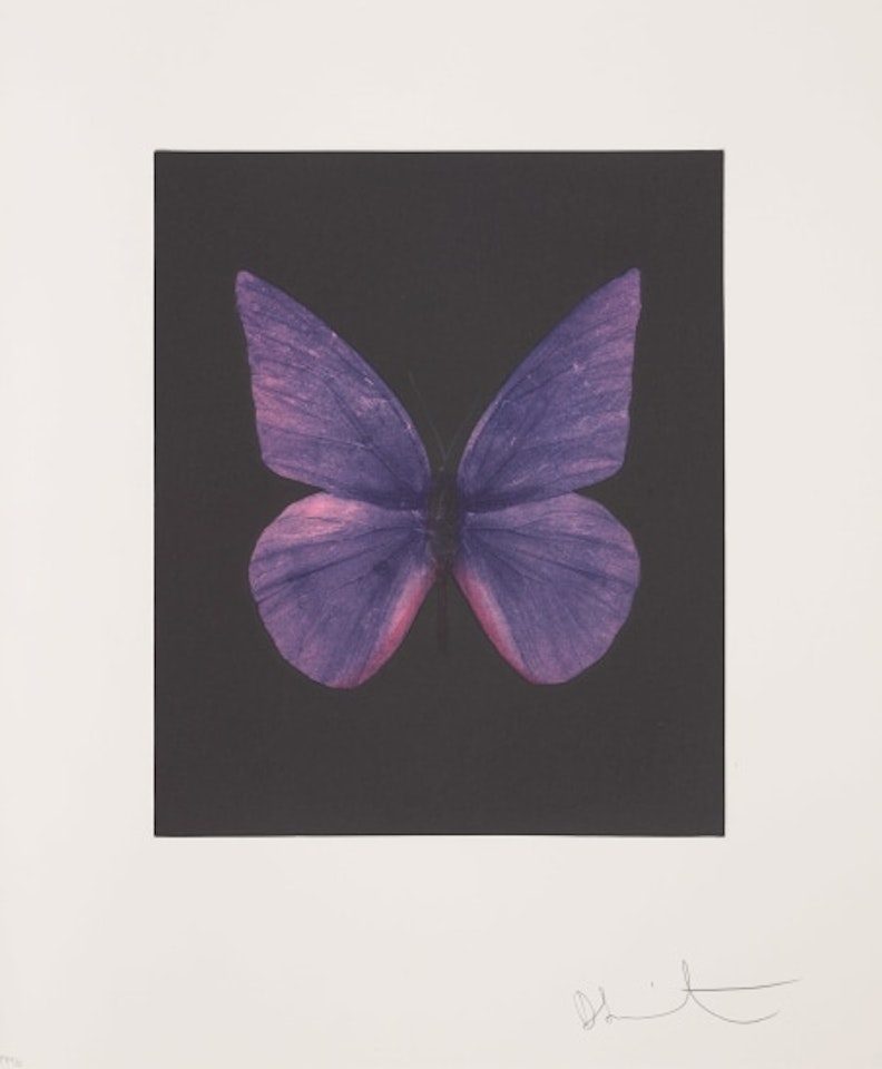 Renewal by Damien Hirst