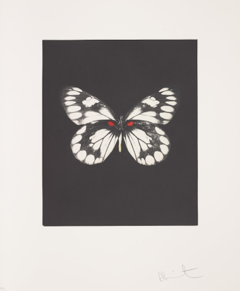 Regeneration by Damien Hirst