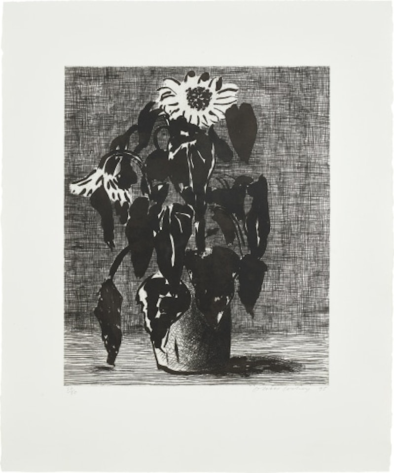 Sunflower I (M.C.A.T. 347) by David Hockney