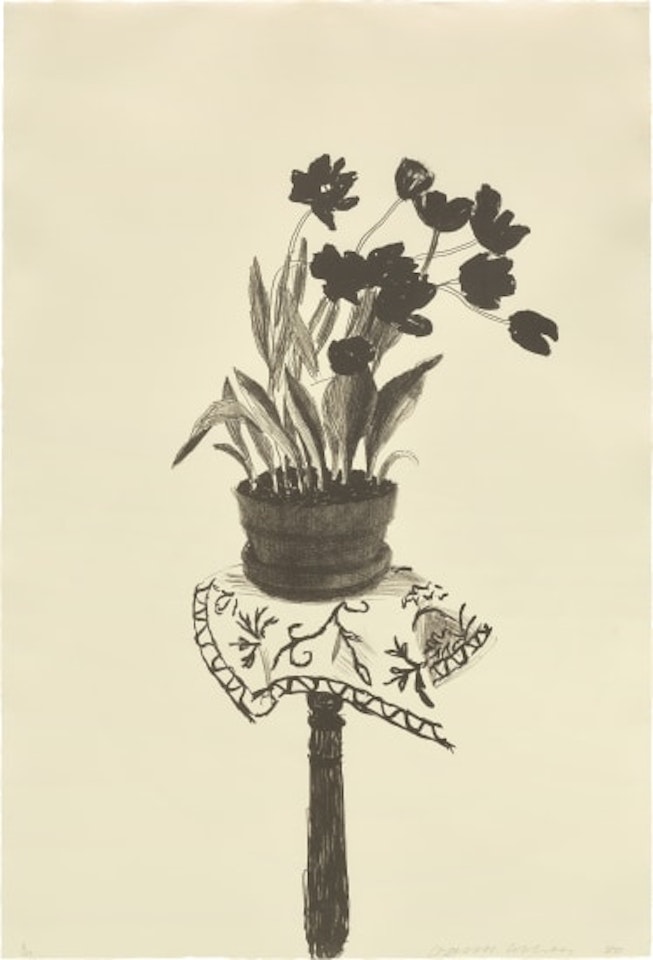 Black Tulips (T.G. 258; M.C.A.T. 236) by David Hockney