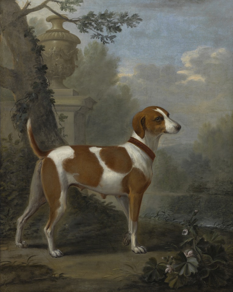 PORTRAIT OF THE DUKE OF HAMILTON’S HOUND "JEWELL" by John Wootton