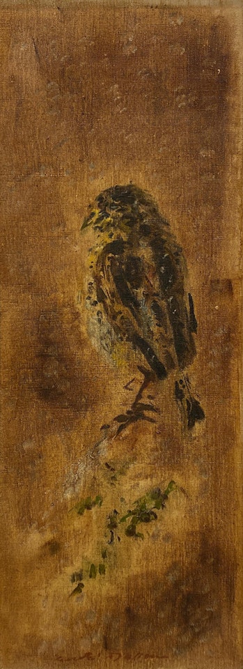 Grive sous la neige by André Masson