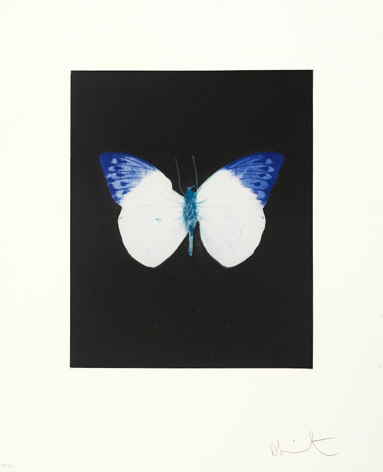 One plate,  from 'Butterfly Etchings' by Damien Hirst
