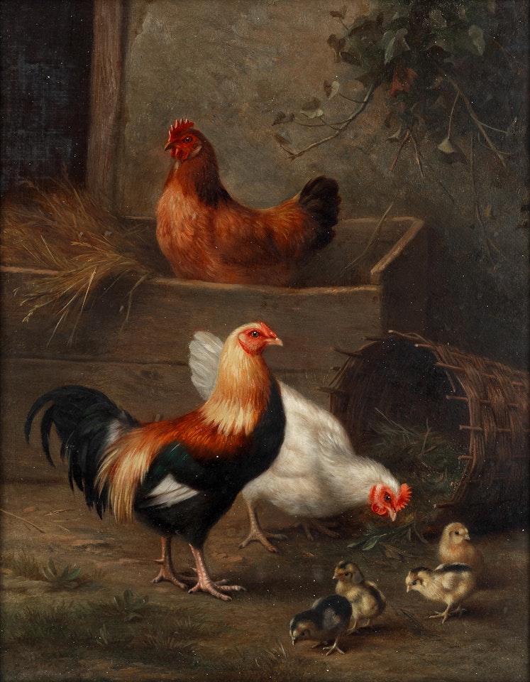 Poultry portraits; a pair by Edgar Hunt