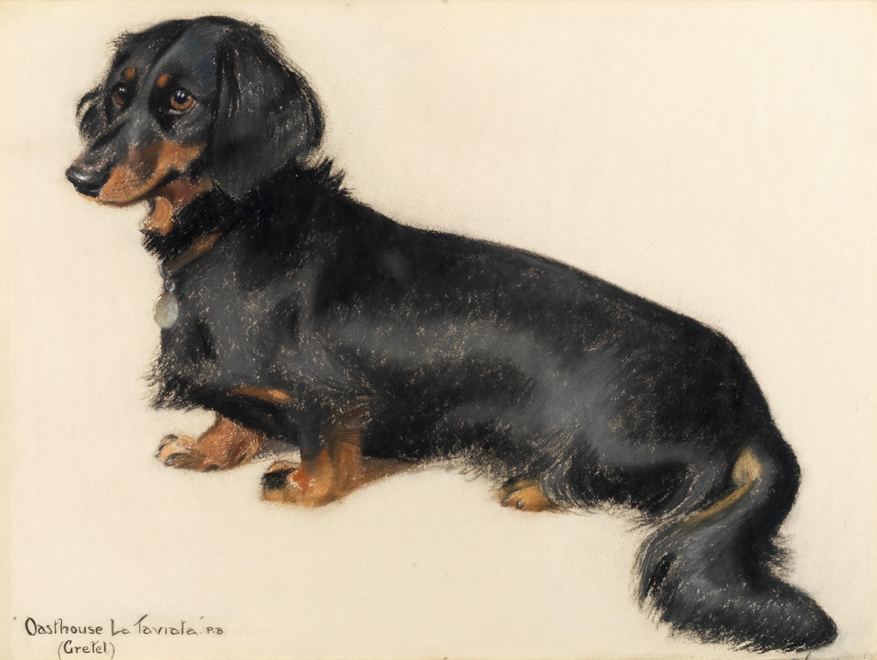 Portrait of a dachshund by English School