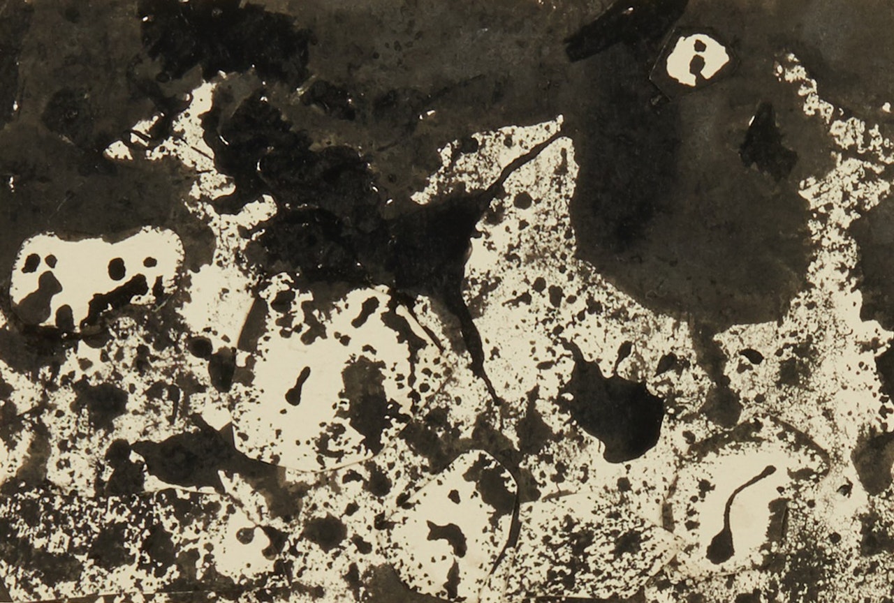 Paysage avec bêtes by Jean Dubuffet