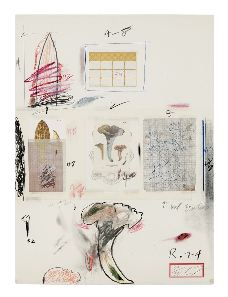 No. VI, from Natural History Part I: Mushrooms by Cy Twombly