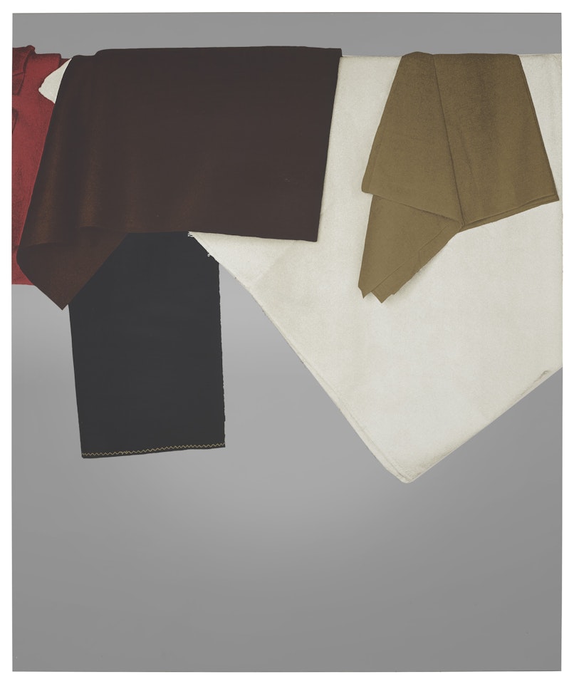 Panni, from The Drape Suite by Michelangelo Pistoletto