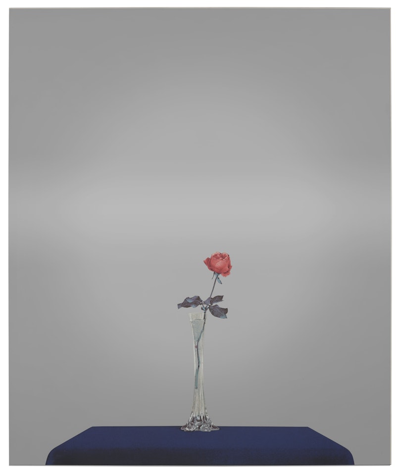 La Rosa, from The Drape Suite by Michelangelo Pistoletto