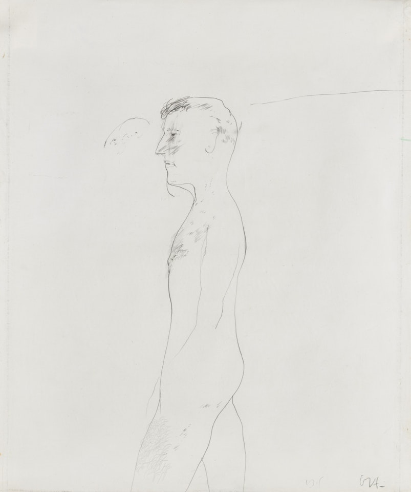 Untitled (Standing Male Figure) by David Hockney