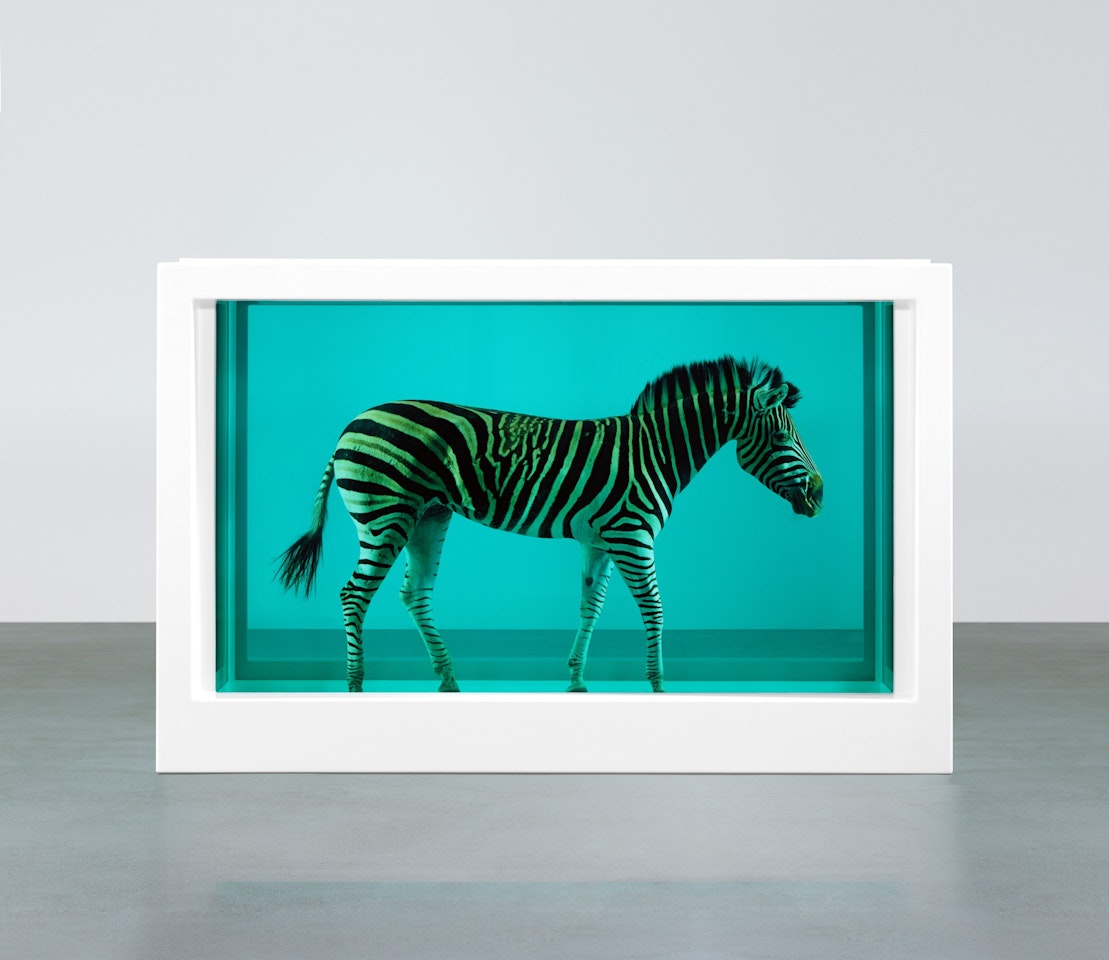 The Incredible Journey by Damien Hirst