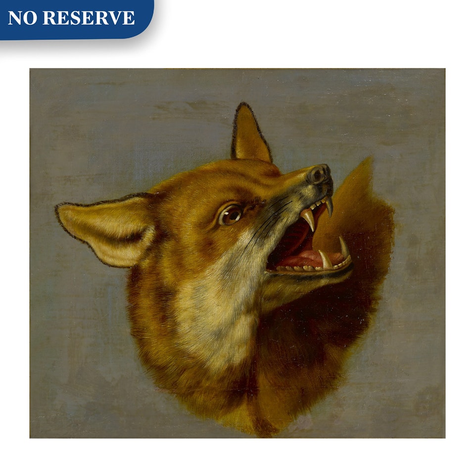 A sketch of a head of a fox by Flemish School