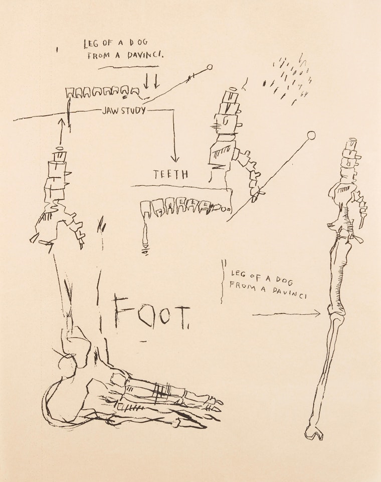 Leg of a Dog,  from Da Vinci by Jean-Michel Basquiat