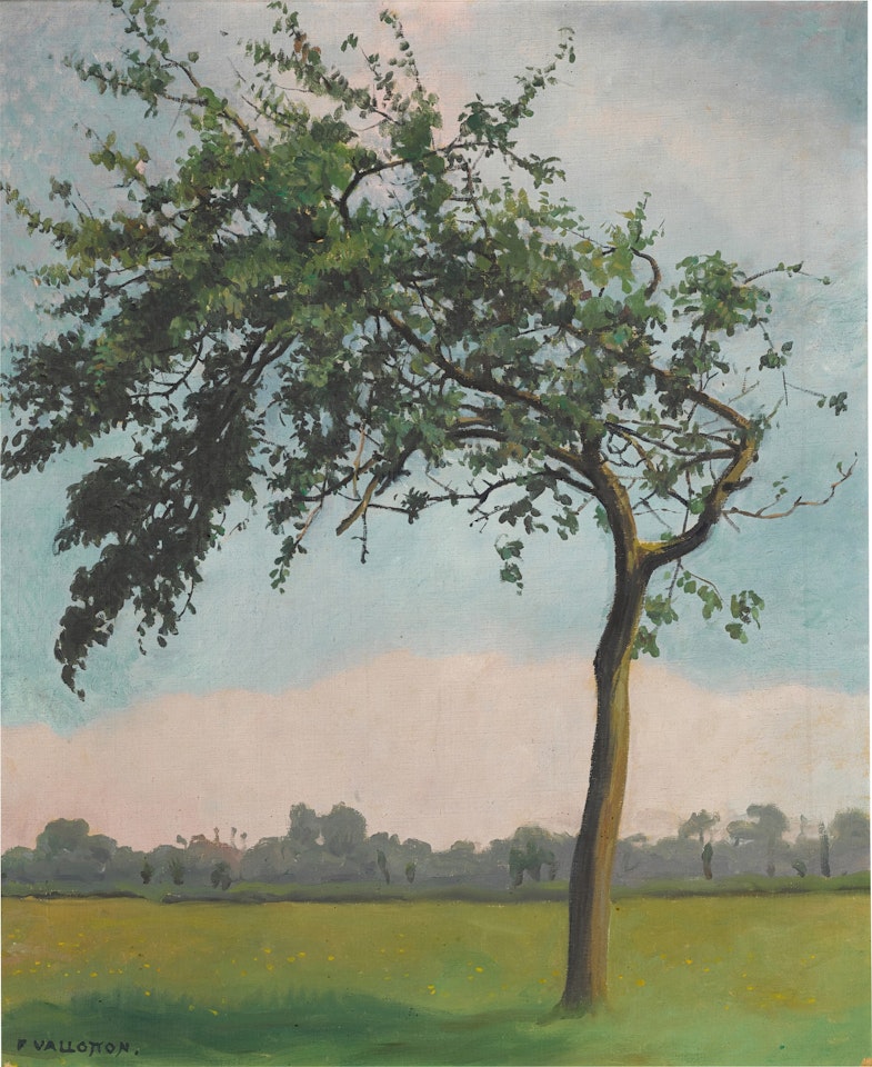 Le pommier, Varengeville by Félix Vallotton