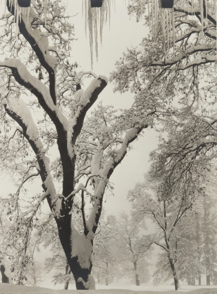 Icicles, Ahwahnee Hotel, Yosemite National Park, California by Ansel Adams
