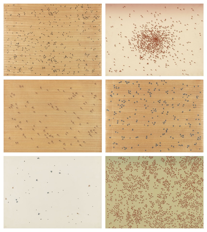 Insects by Ed Ruscha