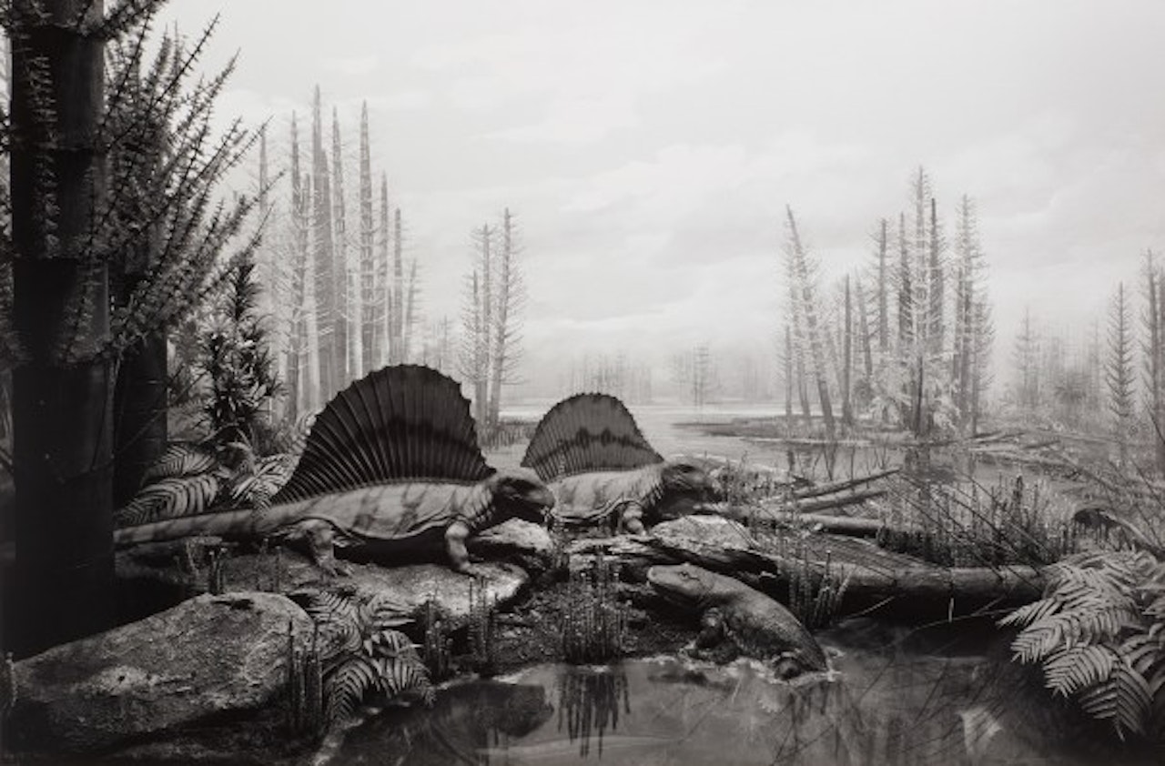 Permian Land by Hiroshi Sugimoto