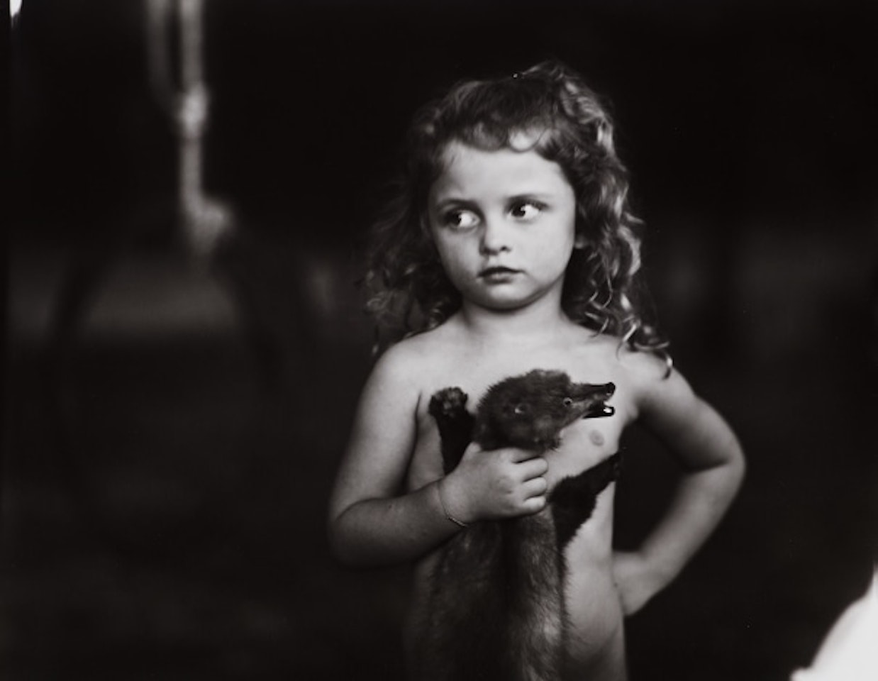 Holding the Weasel by Sally Mann