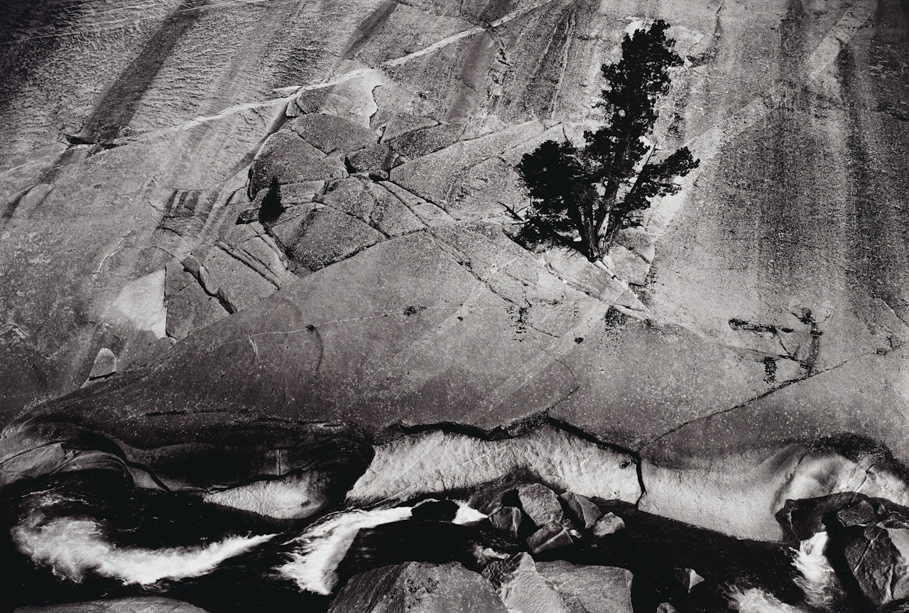 Juniper, Cliffs and River, Upper Merced River Canyon, Yosemite National Park, c. 1936 by Ansel Adams