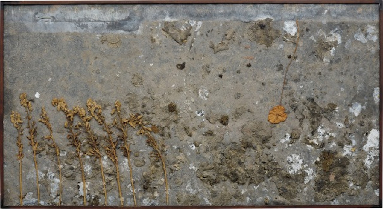 Anthurie by Anselm Kiefer