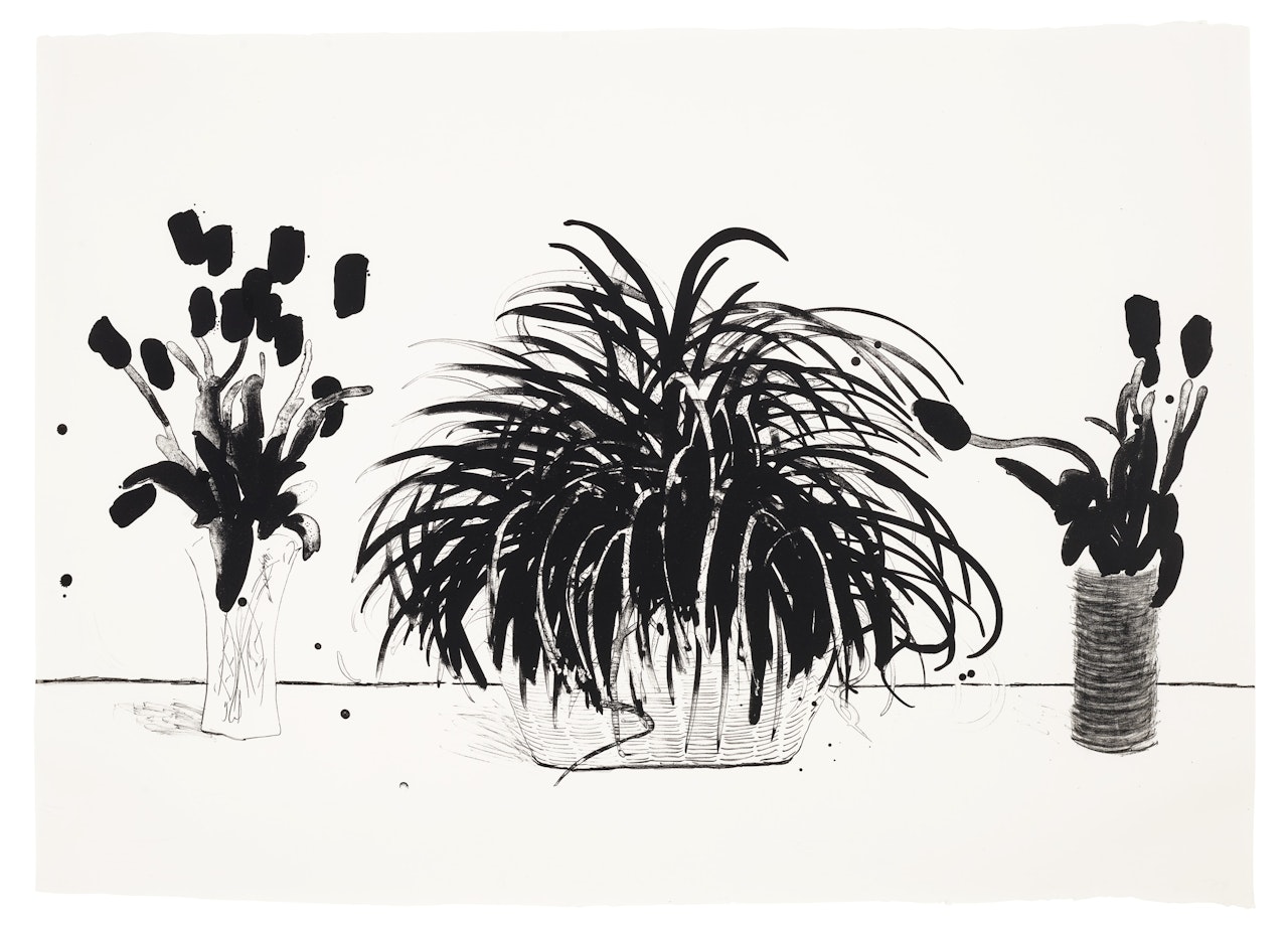 Two Vases of Cut Flowers and a Liriope Plant by David Hockney