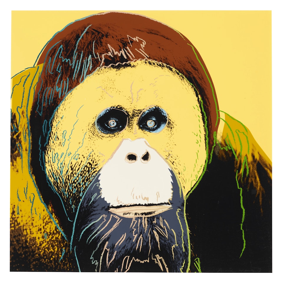 Orangutan, from Endangered Species by Andy Warhol