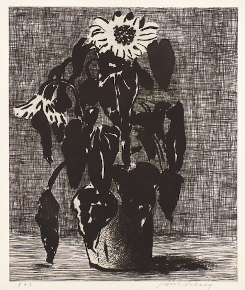 Sunflower I (M.C.A.T. 347) by David Hockney