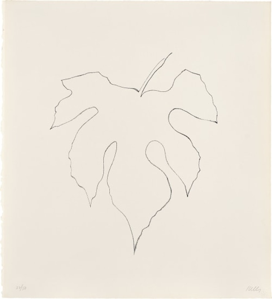Wild Grape Leaf (T.G. 332, A. 191) by Ellsworth Kelly