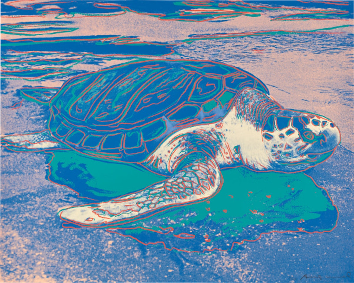 Turtle (F. & S. 360A) by Andy Warhol