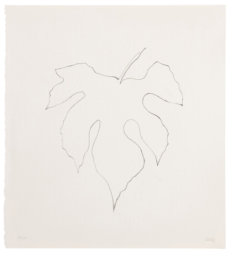 Wild Grape Leaf (Axsom 191) by Ellsworth Kelly