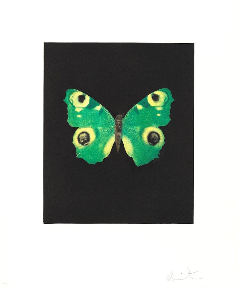 Fate, from 'Butterfly Etchings' by Damien Hirst