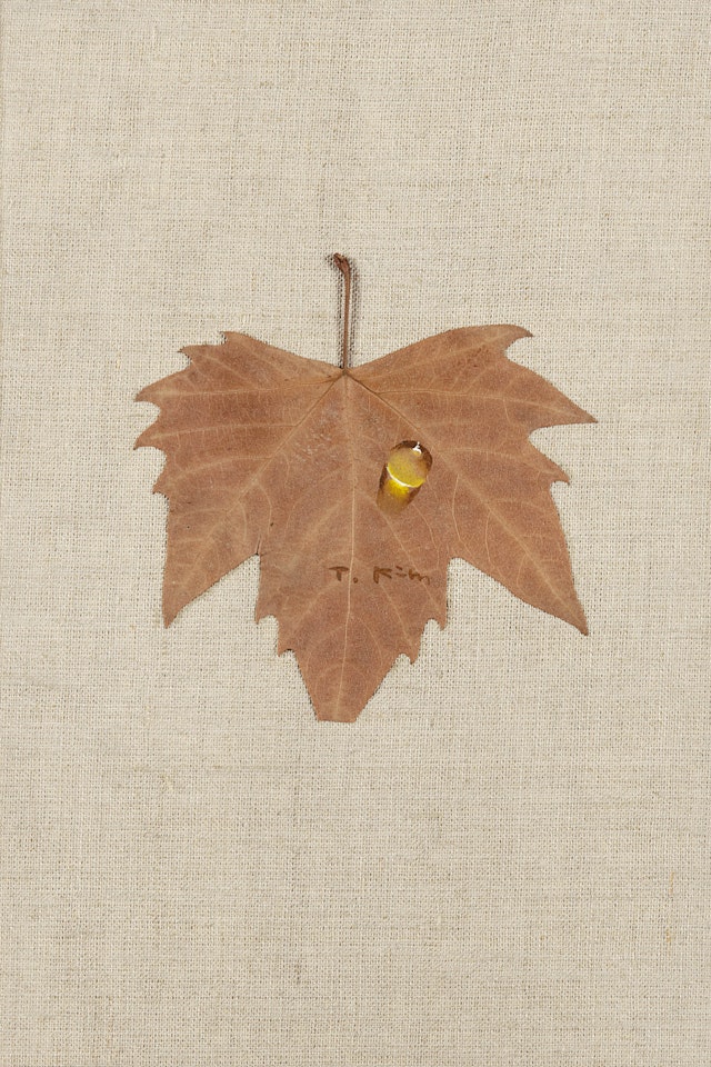 Waterdrop by Kim Tschang-Yeul
