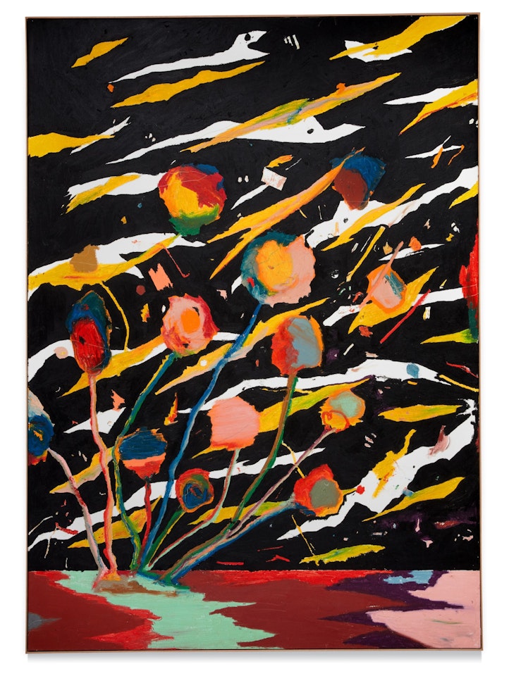 Untitled  by Harold Ancart