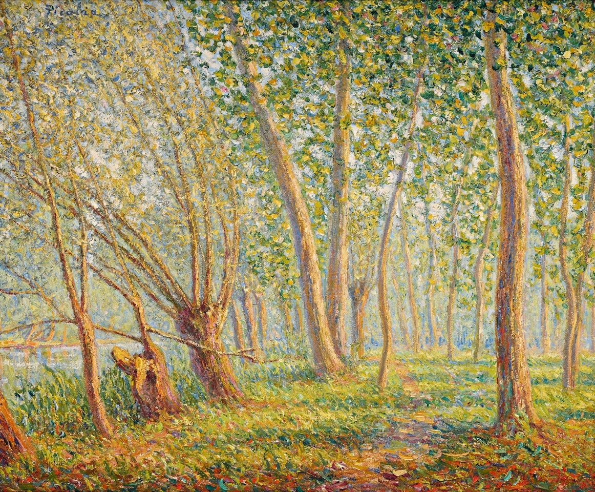 Les Vieux saules à Moret by Francis Picabia