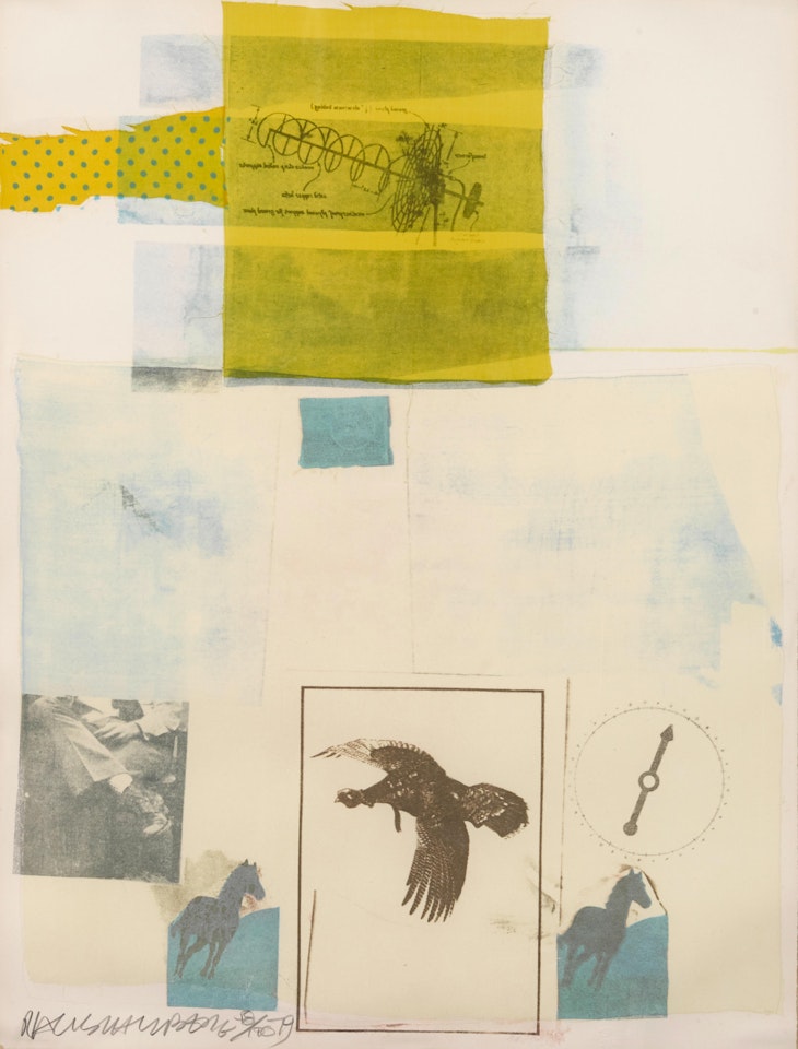 Why You Can't Tell #1,  from The Suite of Nine Prints by Robert Rauschenberg