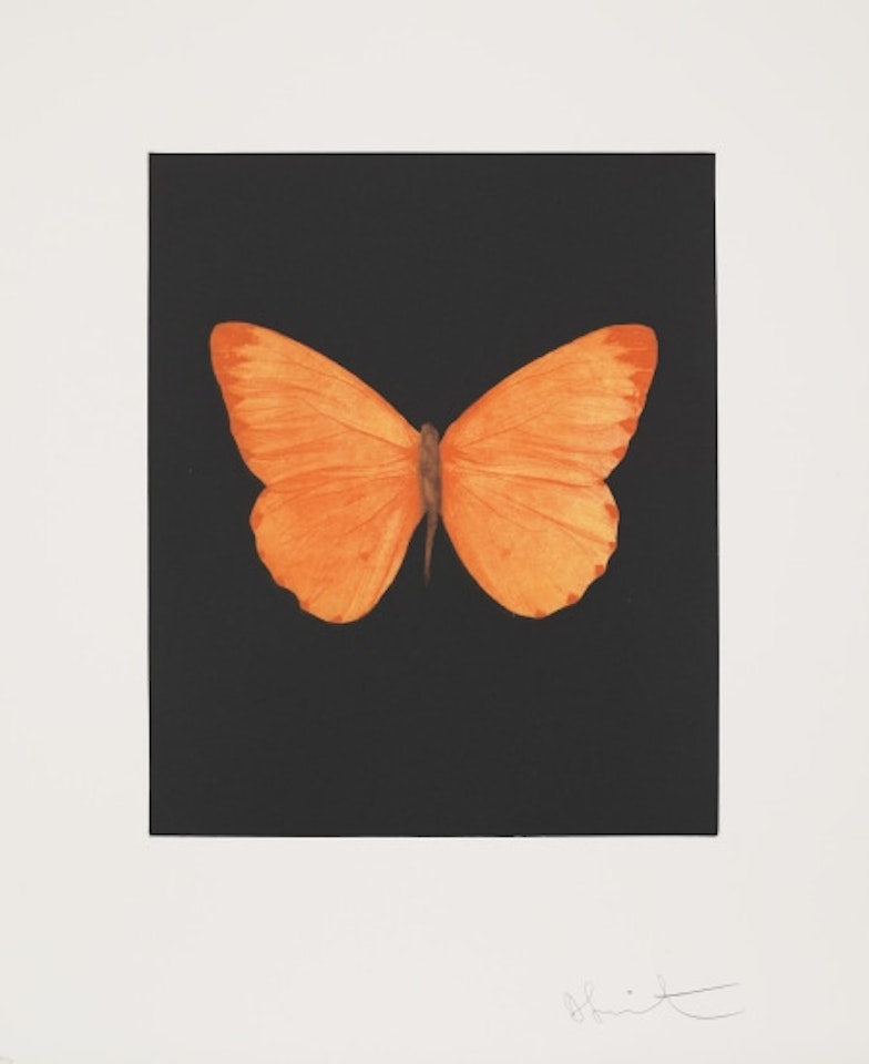 Hope, from Butterfly Etchings by Damien Hirst