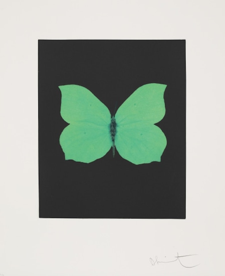 Tribulation, from Butterfly Etchings by Damien Hirst