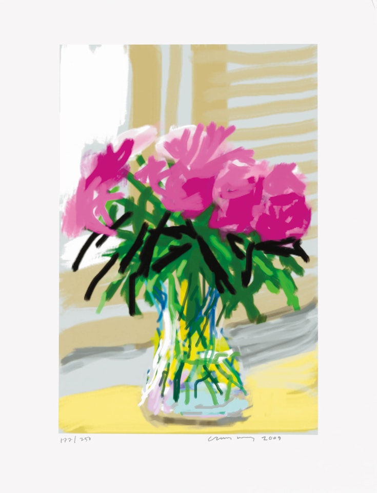My Window, 'No. 535', 28th June 2009 with Art Edition Book by David Hockney