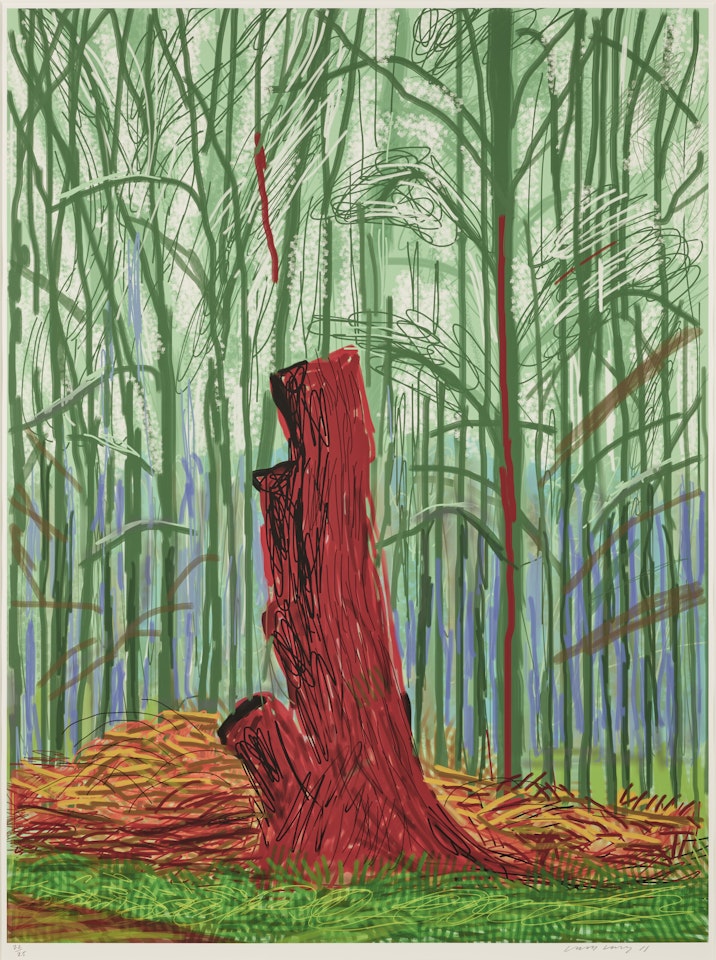 The Arrival of Spring in Woldgate, East Yorkshire in  (twenty eleven) - 25 February by David Hockney