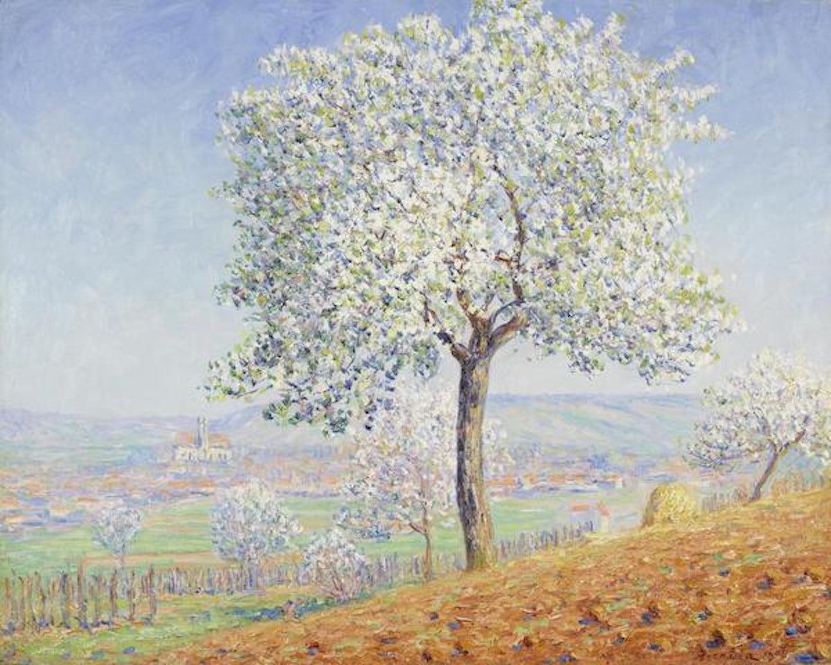 Les arbres en fleurs à Villeneuve-sur-Yonne by Francis Picabia