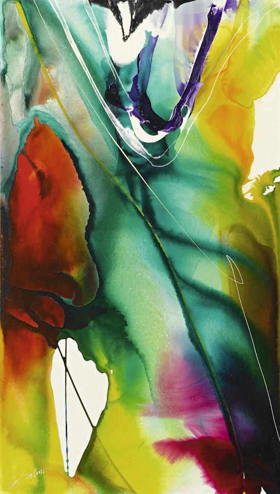 PHENOMENA AROUND THE HORN by Paul Jenkins