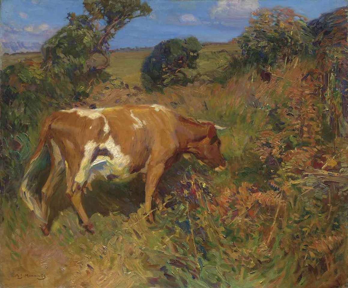 A cow in a landscape by Alfred James Munnings