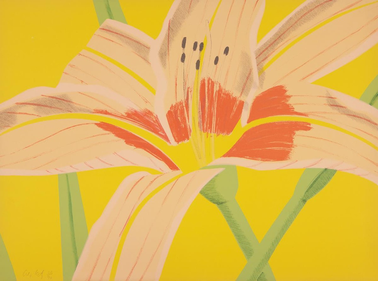Day Lily 2 by Alex Katz