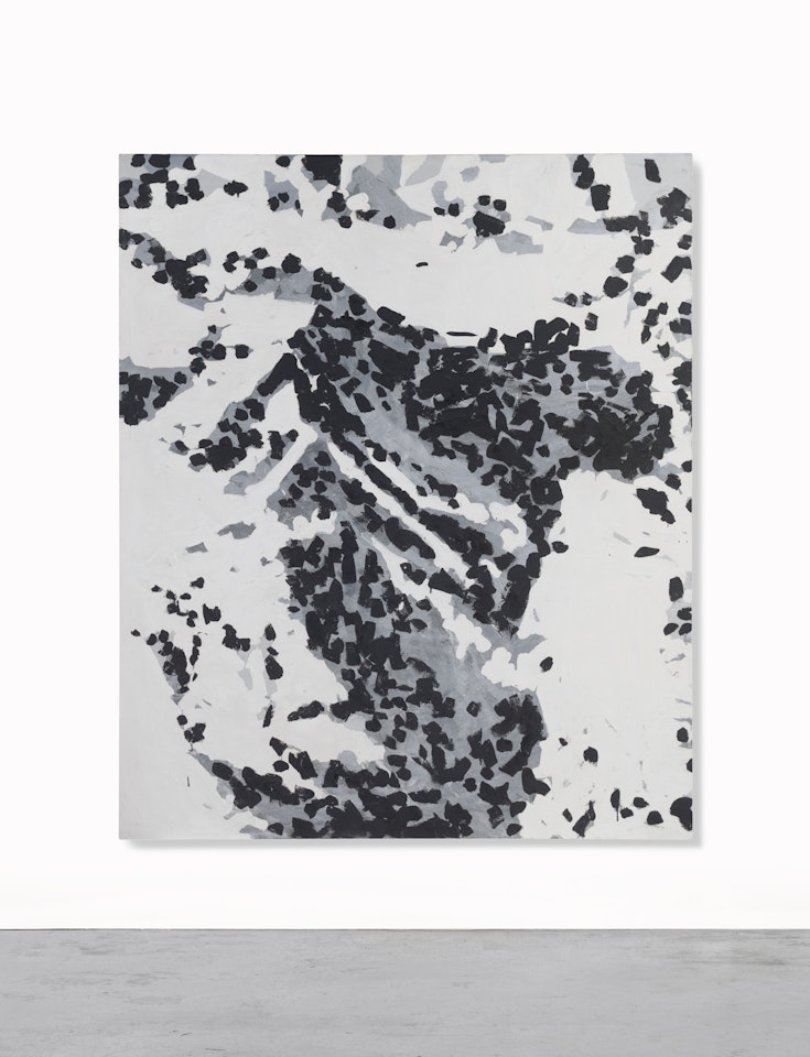 GEBIRGE by Gerhard Richter