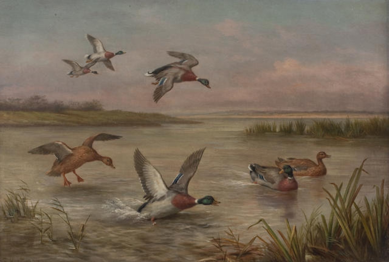 Ducks by Edgar Hunt