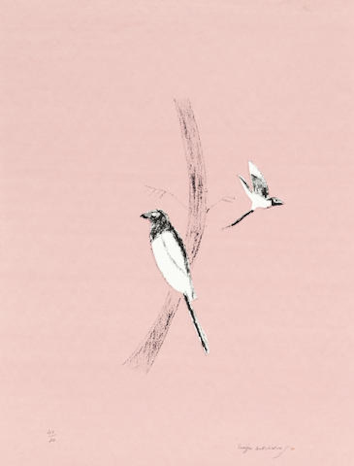 Nine London Birds by Various Artists