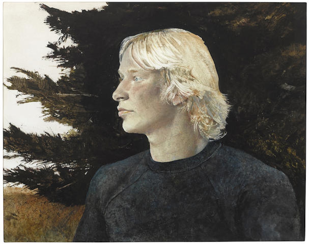 Hawking  by Andrew Wyeth